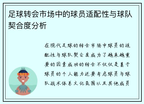 足球转会市场中的球员适配性与球队契合度分析